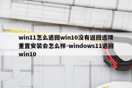 win11怎么退回win10没有返回选项重置安装会怎么样-windows11退回win10
