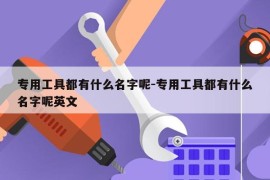 专用工具都有什么名字呢-专用工具都有什么名字呢英文