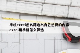 手机excel怎么筛选出自己想要的内容-excel用手机怎么筛选