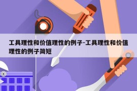 工具理性和价值理性的例子-工具理性和价值理性的例子简短