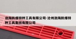渤海防爆特种工具有限公司-沧州渤海防爆特种工具集团有限公司