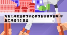 专业工具的重要性和必要性有哪些内容呢-专业工具是什么意思