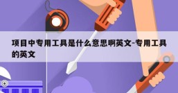 项目中专用工具是什么意思啊英文-专用工具的英文