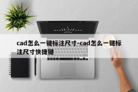 cad怎么一键标注尺寸-cad怎么一键标注尺寸快捷键