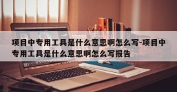 项目中专用工具是什么意思啊怎么写-项目中专用工具是什么意思啊怎么写报告