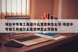 项目中专用工具是什么意思啊怎么写-项目中专用工具是什么意思啊怎么写报告