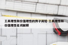 工具理性和价值理性的例子简短-工具理性和价值理性名词解释
