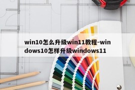 win10怎么升级win11教程-windows10怎样升级windows11