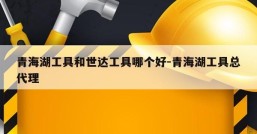 青海湖工具和世达工具哪个好-青海湖工具总代理