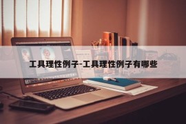 工具理性例子-工具理性例子有哪些