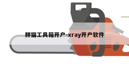 胖猫工具箱开户-xray开户软件