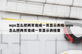wps怎么把两页变成一页显示表格-wps怎么把两页变成一页显示表格里