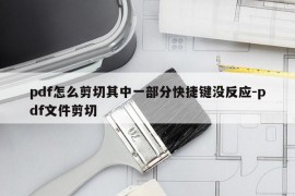 pdf怎么剪切其中一部分快捷键没反应-pdf文件剪切