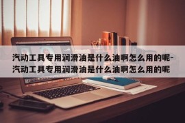 汽动工具专用润滑油是什么油啊怎么用的呢-汽动工具专用润滑油是什么油啊怎么用的呢