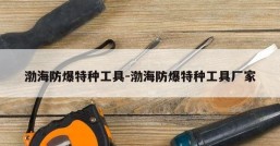 渤海防爆特种工具-渤海防爆特种工具厂家