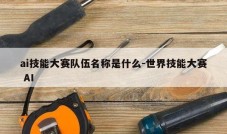ai技能大赛队伍名称是什么-世界技能大赛 AI
