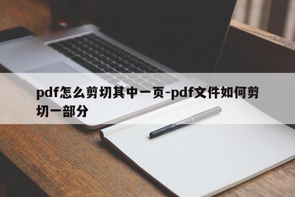 pdf怎么剪切其中一页-pdf文件如何剪切一部分
