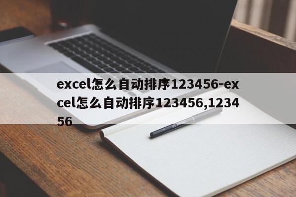 excel怎么自动排序123456-excel怎么自动排序123456,123456