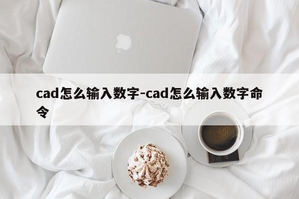 cad怎么输入数字-cad怎么输入数字命令