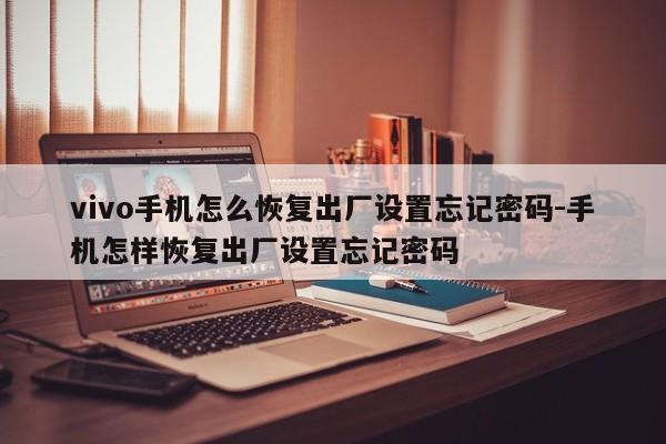 vivo手机怎么恢复出厂设置忘记密码-手机怎样恢复出厂设置忘记密码