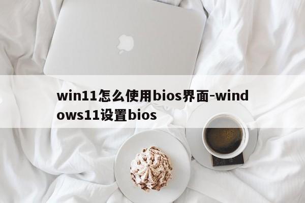 win11怎么使用bios界面-windows11设置bios