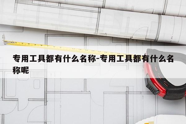 专用工具都有什么名称-专用工具都有什么名称呢