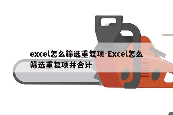 excel怎么筛选重复项-Excel怎么筛选重复项并合计