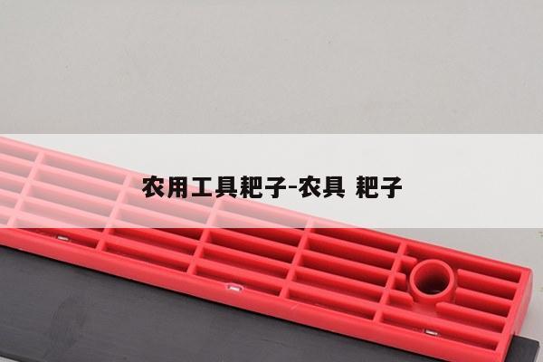 农用工具耙子-农具 耙子