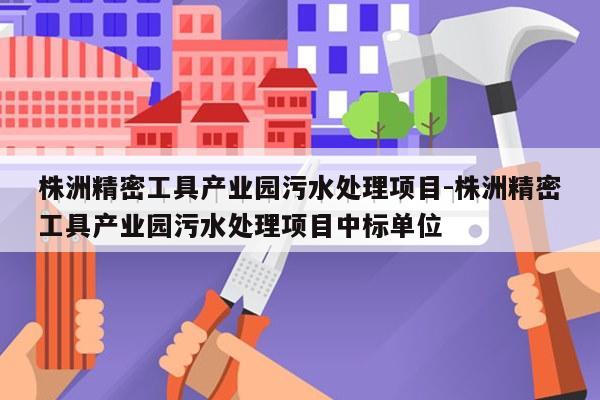 株洲精密工具产业园污水处理项目-株洲精密工具产业园污水处理项目中标单位
