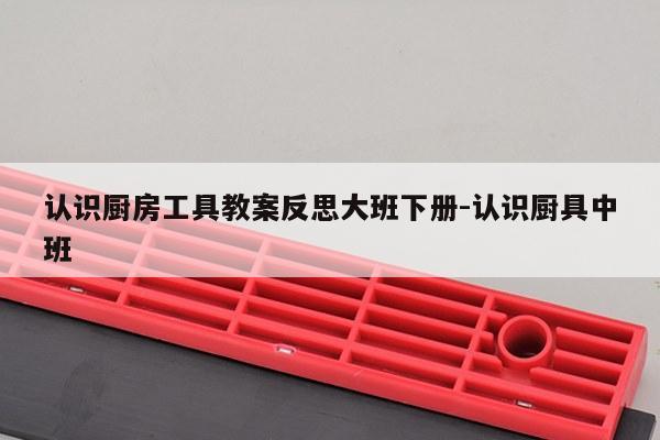 认识厨房工具教案反思大班下册-认识厨具中班