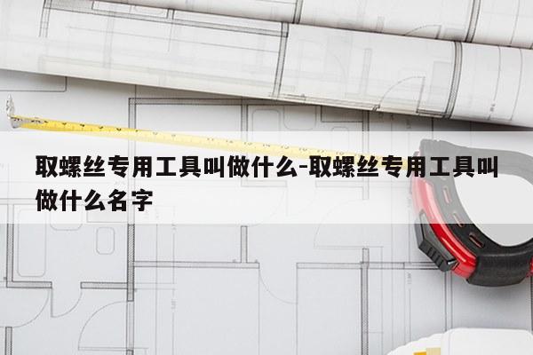 取螺丝专用工具叫做什么-取螺丝专用工具叫做什么名字