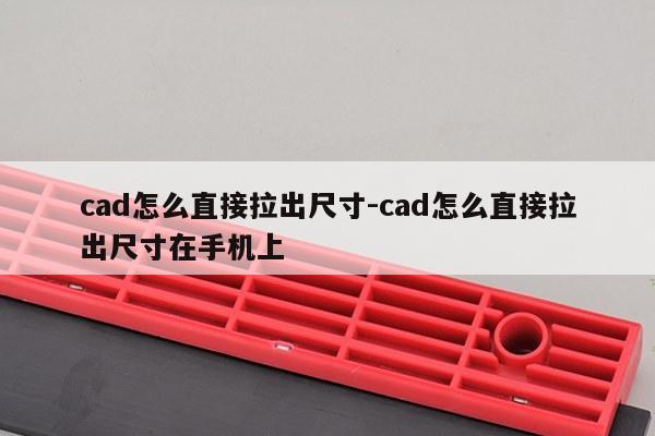 cad怎么直接拉出尺寸-cad怎么直接拉出尺寸在手机上