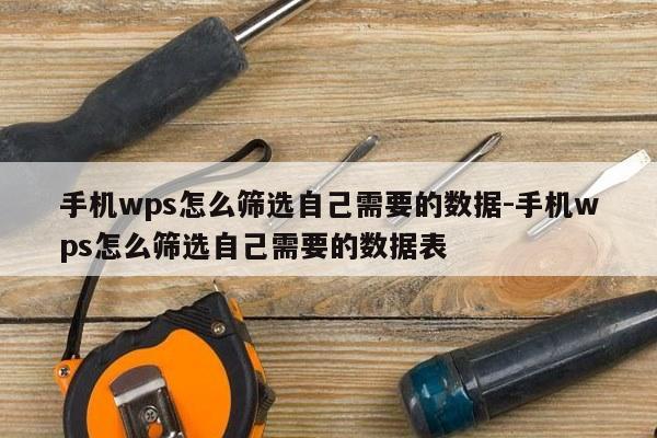 手机wps怎么筛选自己需要的数据-手机wps怎么筛选自己需要的数据表