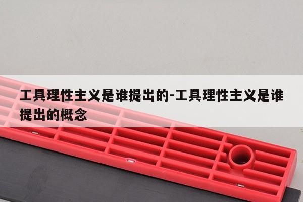 工具理性主义是谁提出的-工具理性主义是谁提出的概念