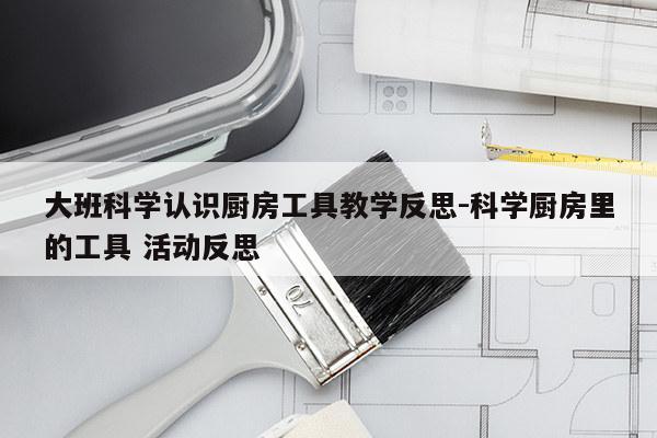 大班科学认识厨房工具教学反思-科学厨房里的工具 活动反思
