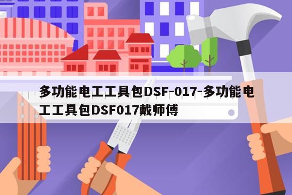 多功能电工工具包DSF-017-多功能电工工具包DSF017戴师傅