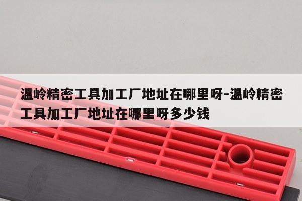 温岭精密工具加工厂地址在哪里呀-温岭精密工具加工厂地址在哪里呀多少钱