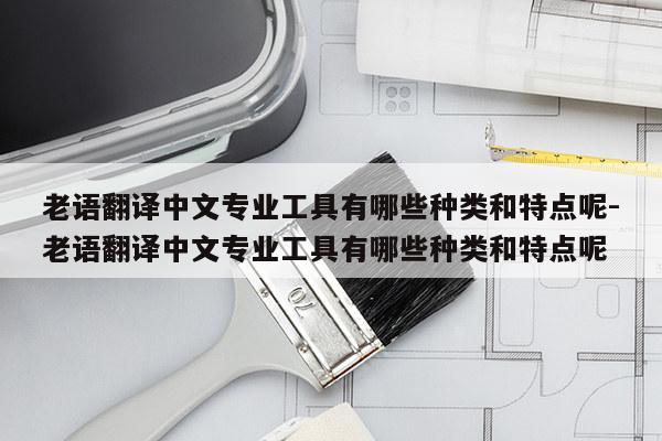 老语翻译中文专业工具有哪些种类和特点呢-老语翻译中文专业工具有哪些种类和特点呢