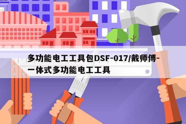 多功能电工工具包DSF-017/戴师傅-一体式多功能电工工具