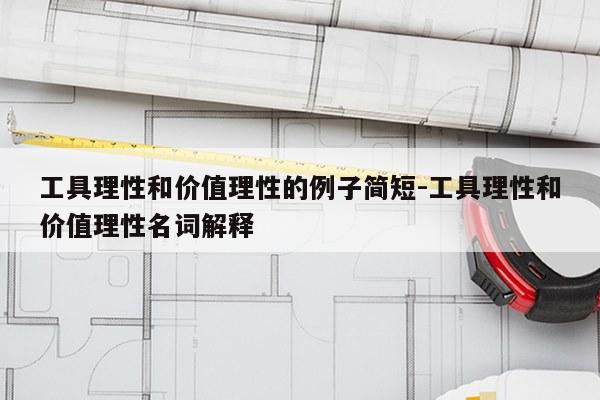 工具理性和价值理性的例子简短-工具理性和价值理性名词解释