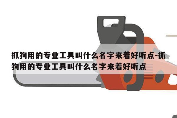 抓狗用的专业工具叫什么名字来着好听点-抓狗用的专业工具叫什么名字来着好听点