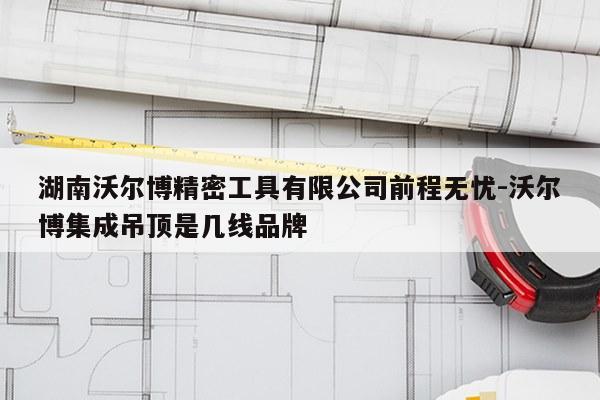 湖南沃尔博精密工具有限公司前程无忧-沃尔博集成吊顶是几线品牌