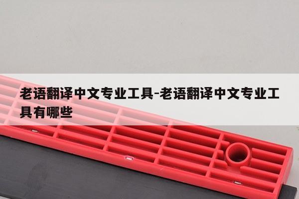 老语翻译中文专业工具-老语翻译中文专业工具有哪些