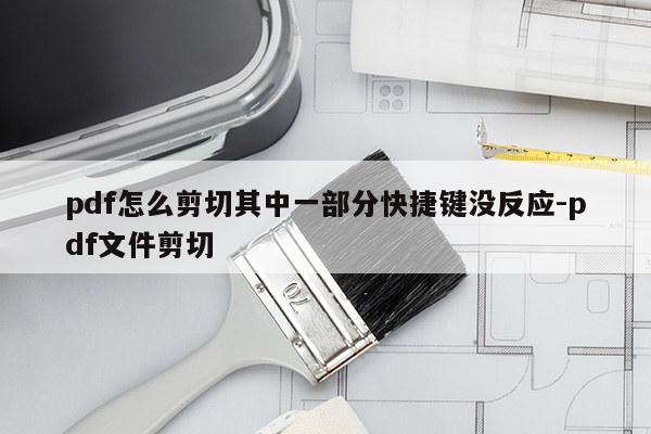pdf怎么剪切其中一部分快捷键没反应-pdf文件剪切