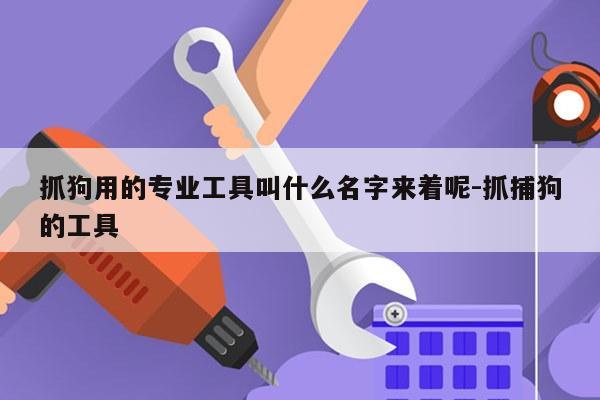 抓狗用的专业工具叫什么名字来着呢-抓捕狗的工具