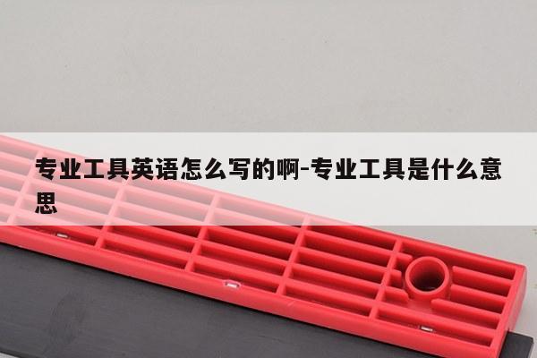专业工具英语怎么写的啊-专业工具是什么意思