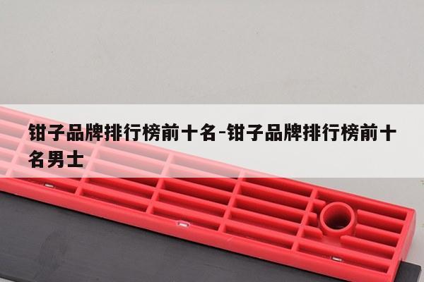 钳子品牌排行榜前十名-钳子品牌排行榜前十名男士