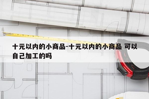 十元以内的小商品-十元以内的小商品 可以自己加工的吗