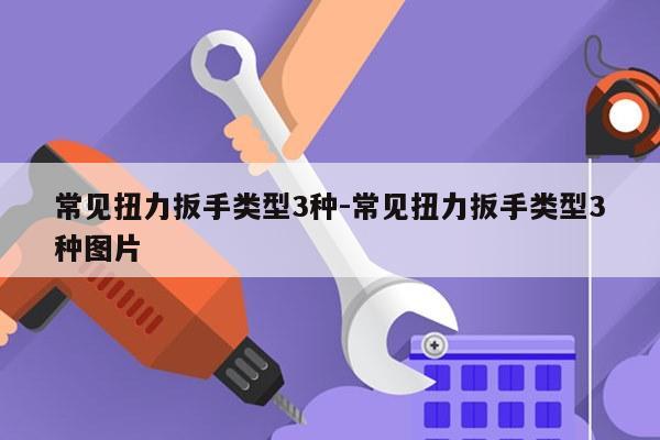 常见扭力扳手类型3种-常见扭力扳手类型3种图片