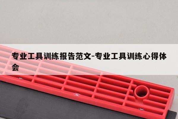 专业工具训练报告范文-专业工具训练心得体会